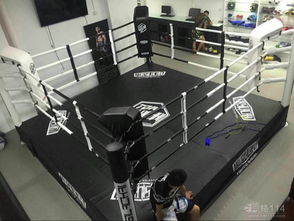 广告制作的艺术与科学 从创意到成品的全面解析