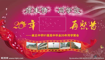 广告设计 从创意图片到高效制作的完整指南